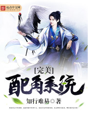 �������ϵͳ