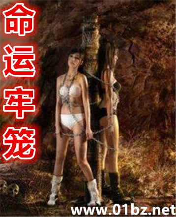 ѩɫС