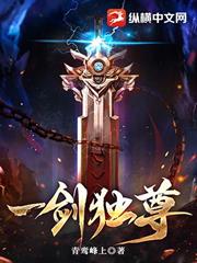 ¯��ʮ���꣬�������޵�