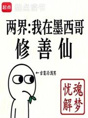 ���磺����ī����������