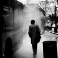 ����2009֮��������