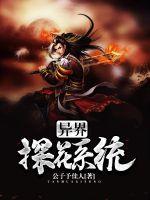 ���̽��ϵͳ